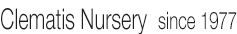 �N���}�`�X���i�[�Z���[�E�y��t���O���[��