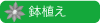 クレマチス　鉢植え