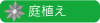 クレマチス　庭植え