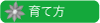 クレマチス　育て方