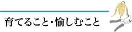 クレマチス　育て方
