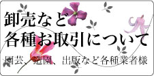 クレマチス　卸取引